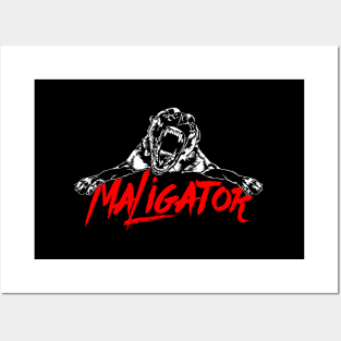 Maligator Belgian Malinois Hund Posters and Art